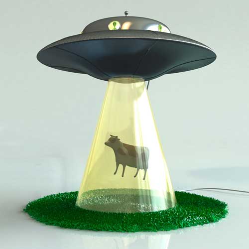 Abduction Lamp Cow
