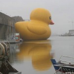 Huge f**king duck