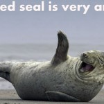 Rofl seal