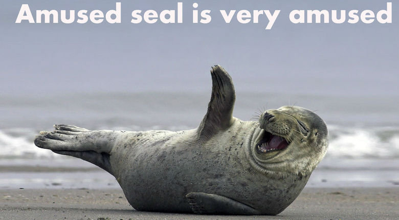 rofl seal