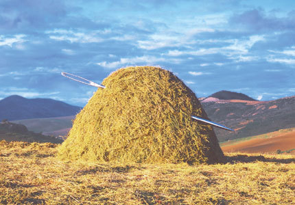 needle_in_haystack