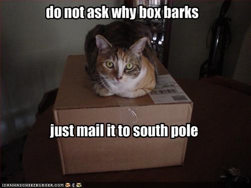 box barks