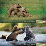 Animal Planet ads rule