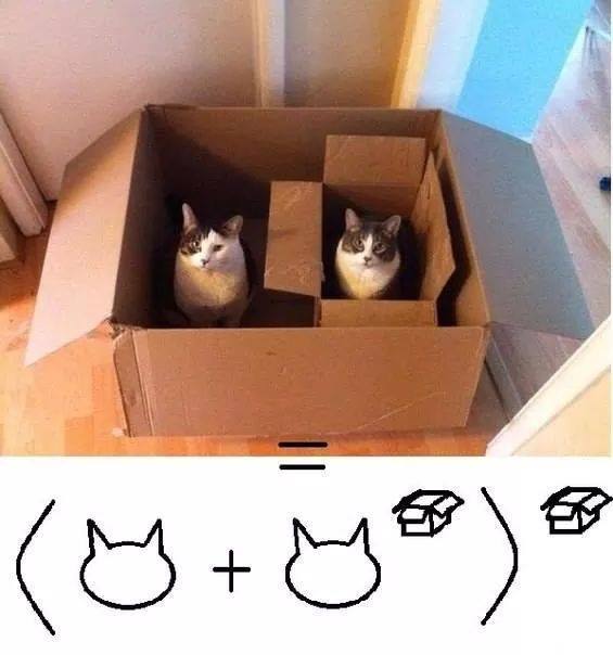 Cat math