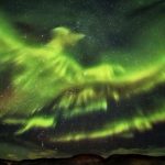 Giant Phoenix Aurora Borealis